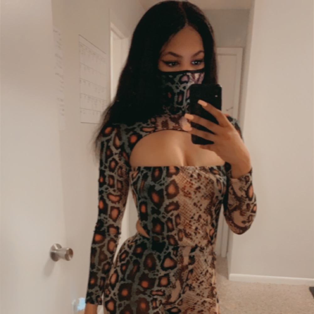 Reptile Set